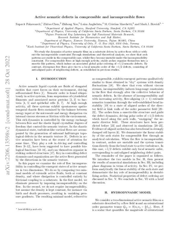 (PDF) Active nematic defects in compressible and incompressible flows