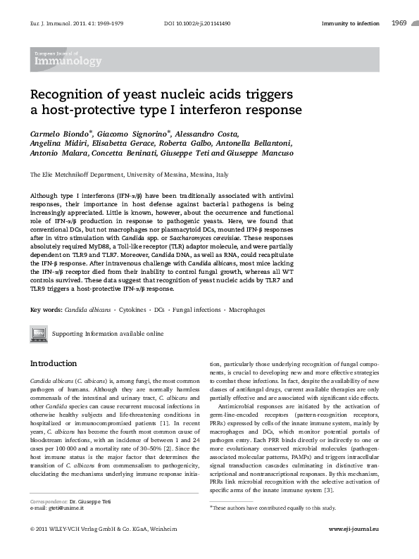 Recognition of yeast nucleic acids triggers a host-protective type I interferon response