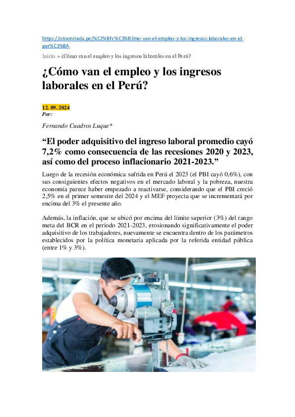 (PDF) ¿Cómo van el empleo y los ingresos laborales en el Perú?