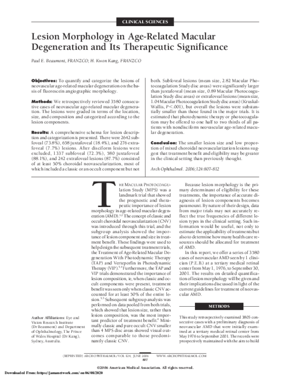 (PDF) Lesion Morphology in Age-Related Macular Degeneration and Its ...