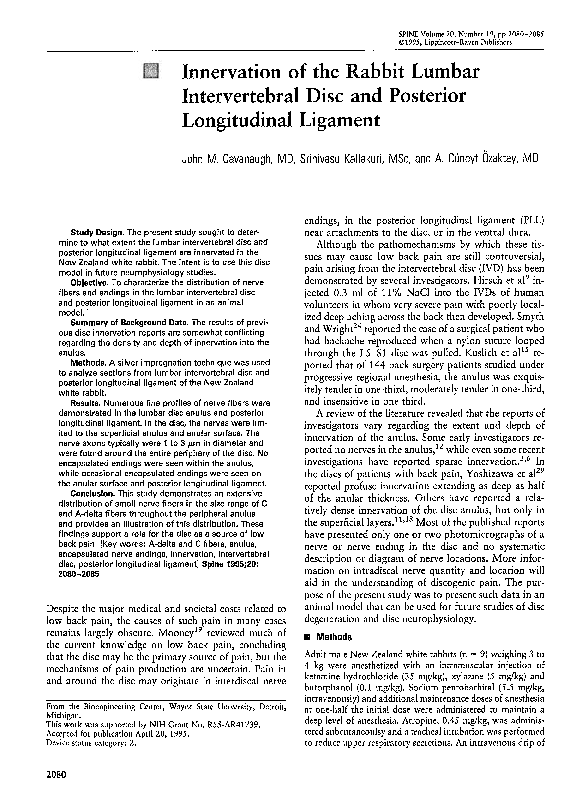 (PDF) Innervation of the Rabbit Lumbar Intervertebral Disc and ...