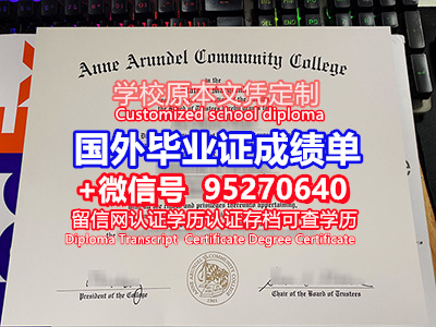 York University Diploma Degree Transcript