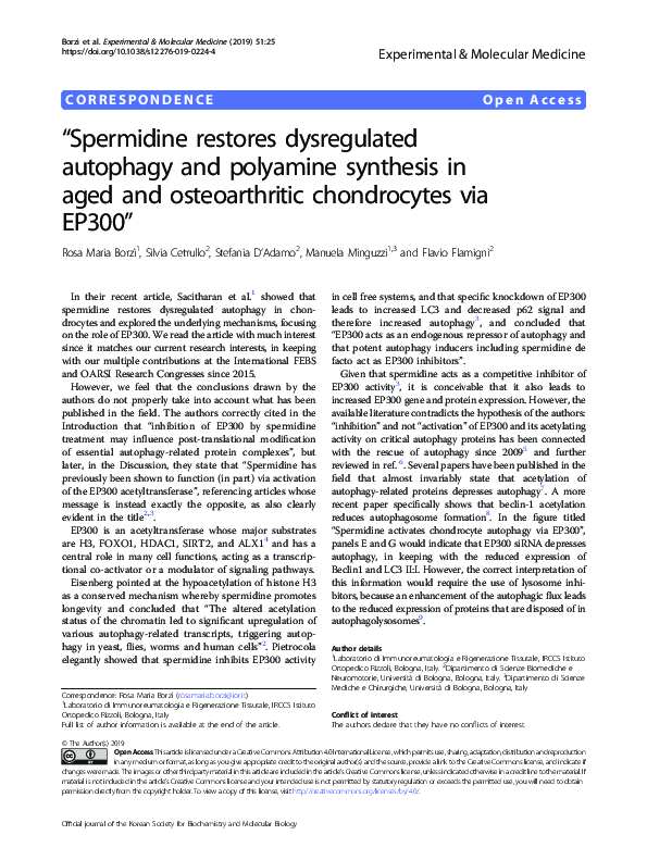 “Spermidine restores dysregulated autophagy and polyamine synthesis in aged and osteoarthritic chondrocytes via EP300”