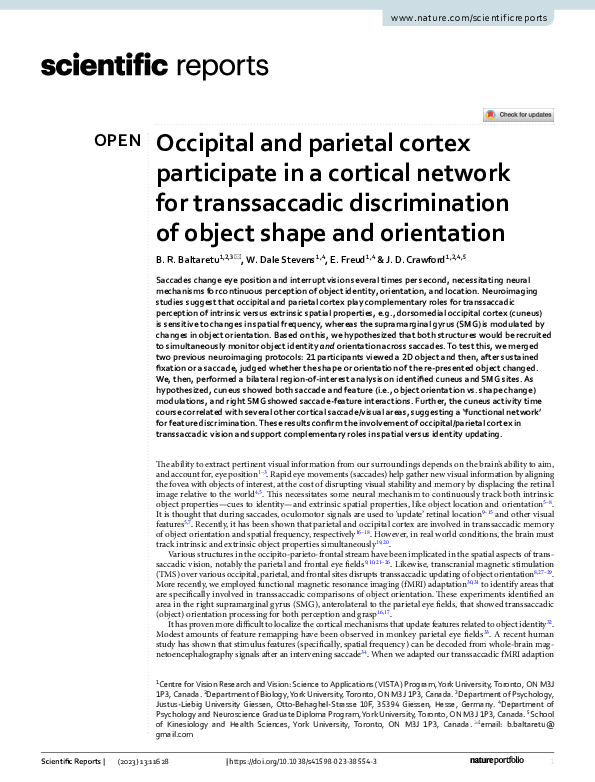 (PDF) Occipital and parietal cortex participate in a cortical network ...