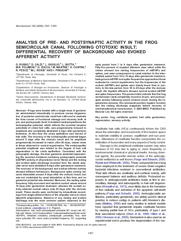 (PDF) Analysis of pre- and postsynaptic activity in the frog ...
