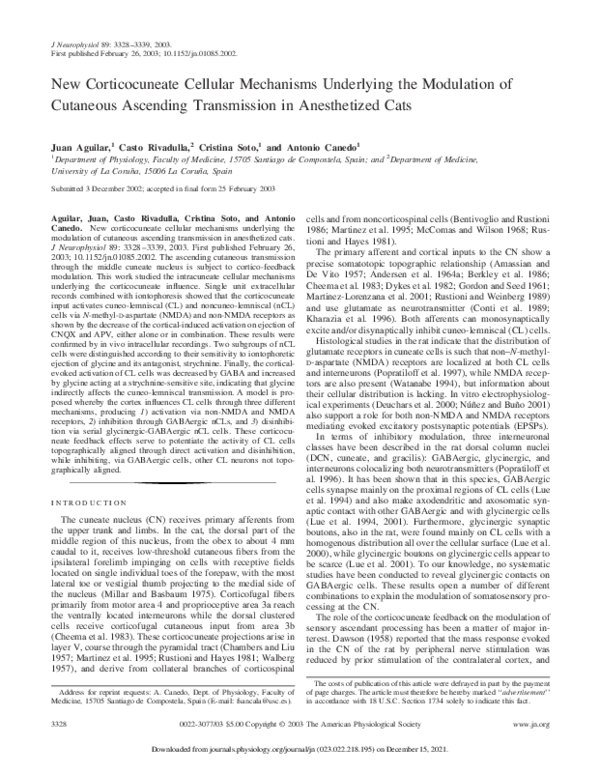 (PDF) in Anesthetized Cats the Modulation of Cutaneous Ascending ...