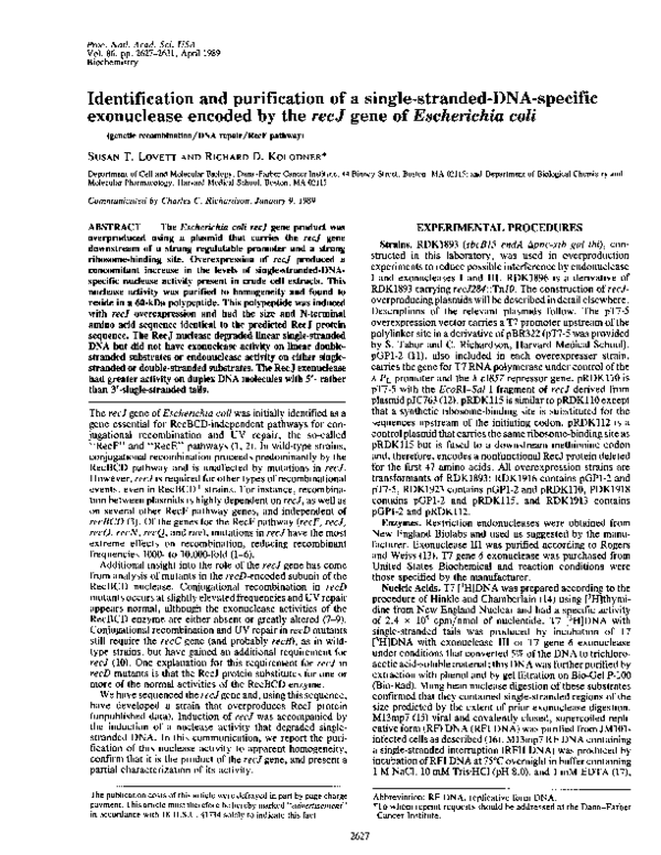(PDF) Identification and purification of a single-stranded-DNA-specific ...