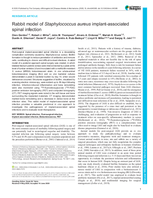 (PDF) Rabbit model of Staphylococcus aureus implant-associated spinal ...
