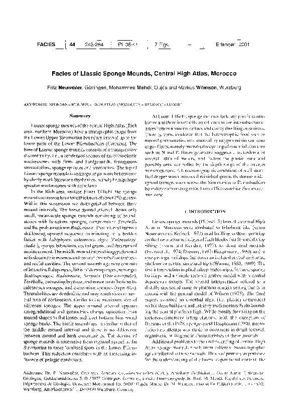 (PDF) Facies of Liassic sponge mounds, central High Atlas, Morocco