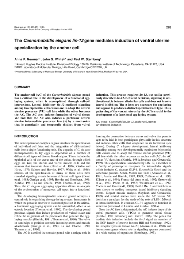 (PDF) The Caenorhabditis elegans lin-12 gene mediates induction of ...