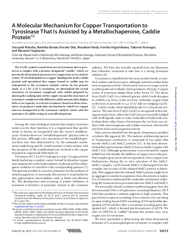 (PDF) A Molecular Mechanism for Copper Transportation to Tyrosinase ...