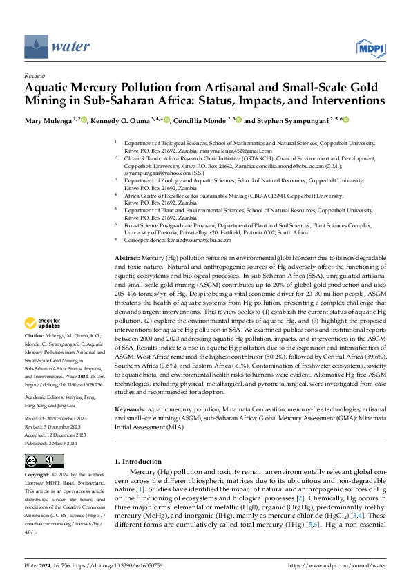 (PDF) Aquatic Mercury Pollution from Artisanal and Small-Scale Gold ...