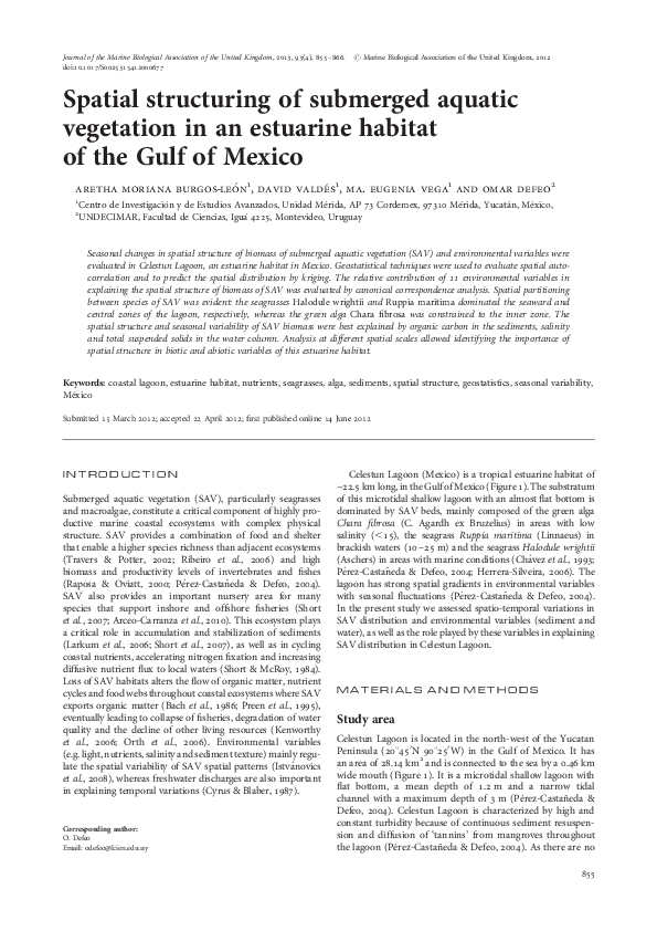 (PDF) Spatial structuring of submerged aquatic vegetation in an ...