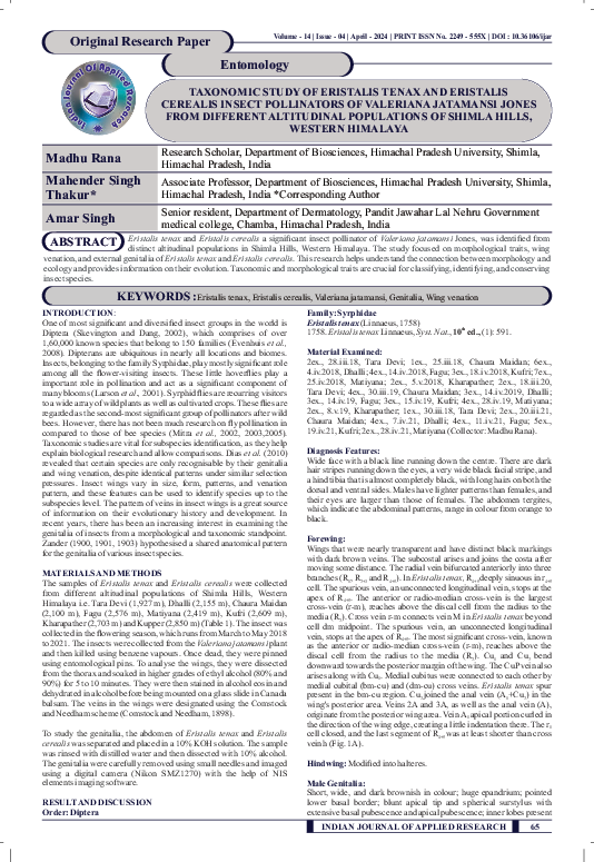 (PDF) TAXONOMIC STUDY OF ERISTALIS TENAX AND ERISTALIS CEREALIS INSECT ...