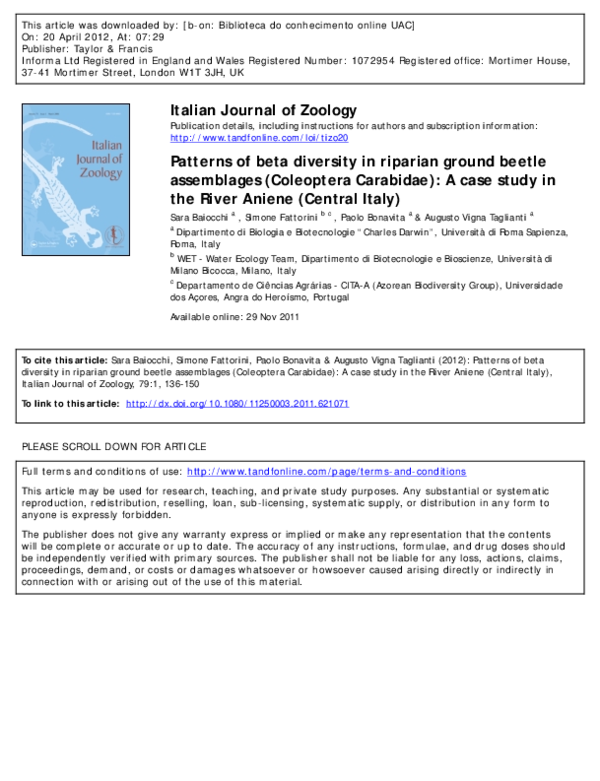(PDF) Patterns of beta diversity in riparian ground beetle assemblages ...