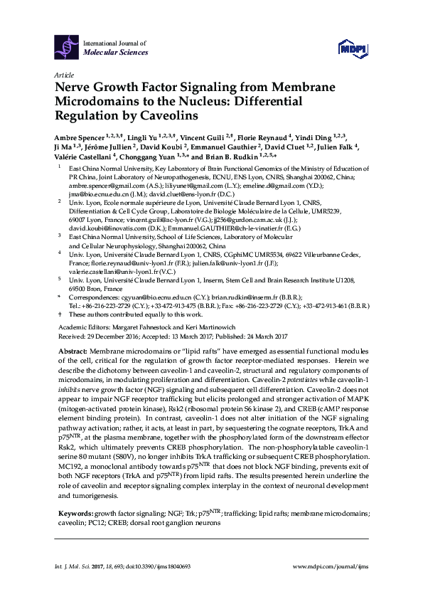 (PDF) Nerve Growth Factor Signaling from Membrane Microdomains to the ...