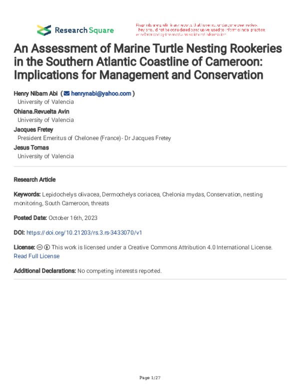 (PDF) An Assessment of Marine Turtle Nesting Rookeries in the Southern ...
