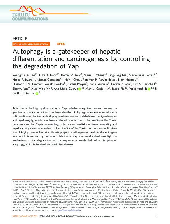 (PDF) Autophagy is a gatekeeper of hepatic differentiation and ...