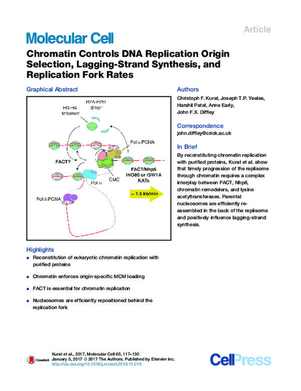 (PDF) Chromatin Controls DNA Replication Origin Selection, Lagging ...