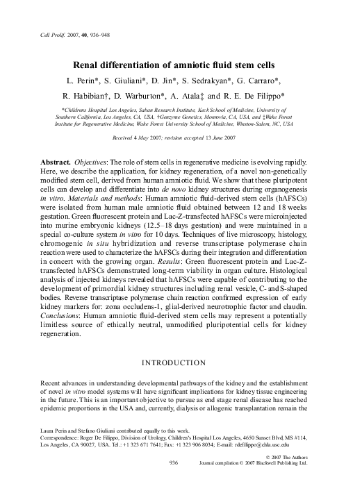 (PDF) Renal differentiation of amniotic fluid stem cells