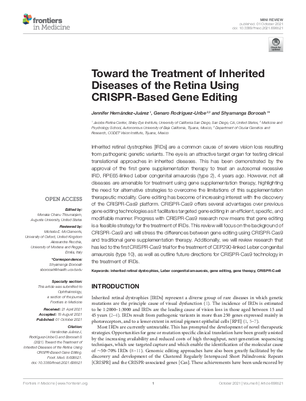 (PDF) Toward the Treatment of Inherited Diseases of the Retina Using ...