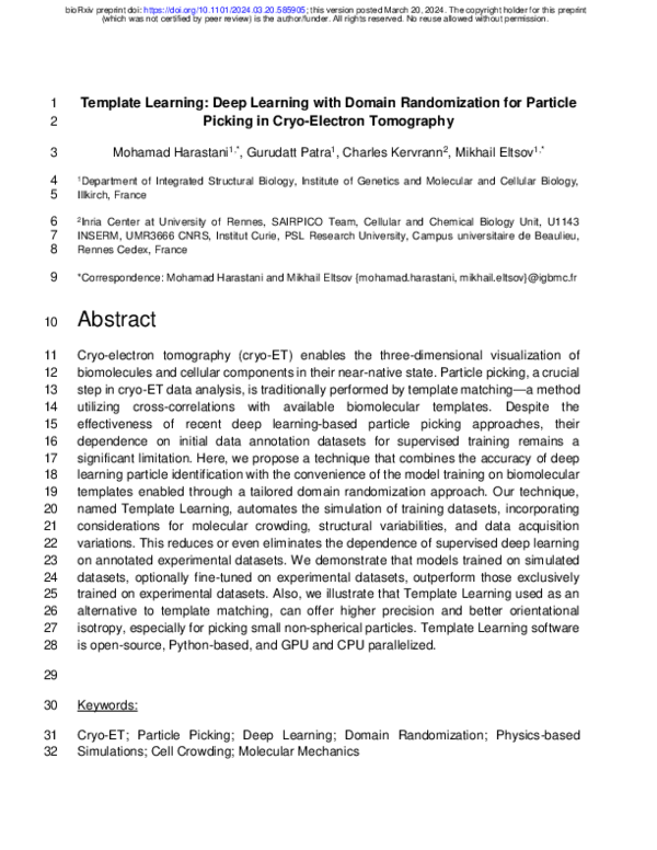 (PDF) Template Learning: Deep Learning with Domain Randomization for ...
