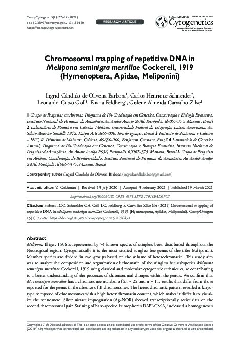 (PDF) Chromosomal mapping of repetitive DNA in Melipona seminigra ...
