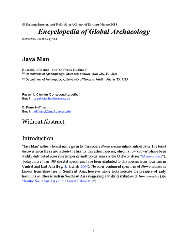 (PDF) Java Man