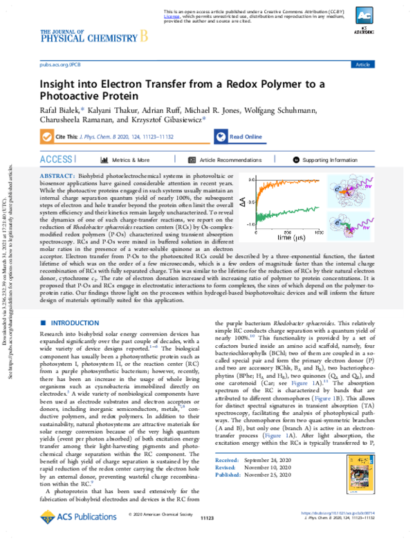 (PDF) Insight into Electron Transfer from a Redox Polymer to a ...