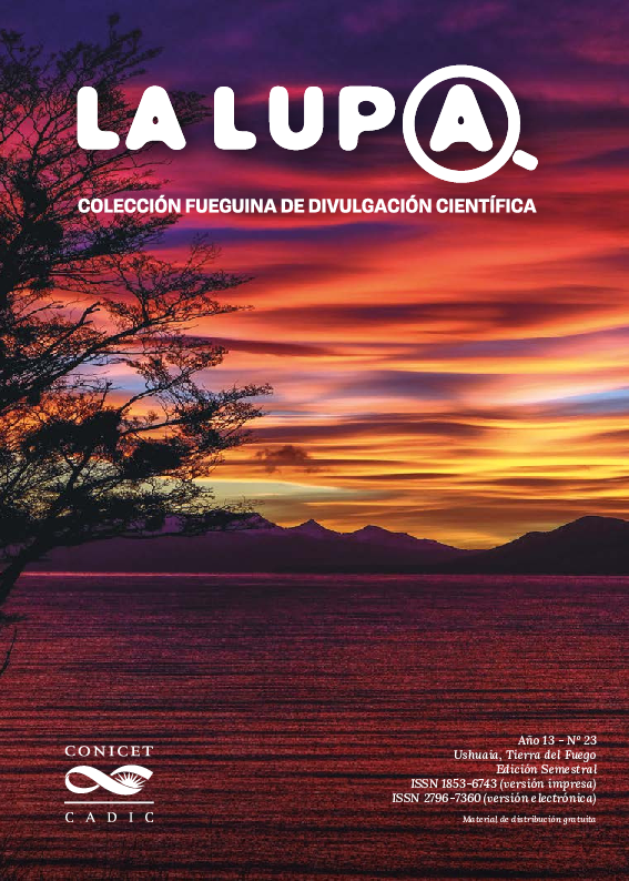 (PDF) La Lupa Nº 23