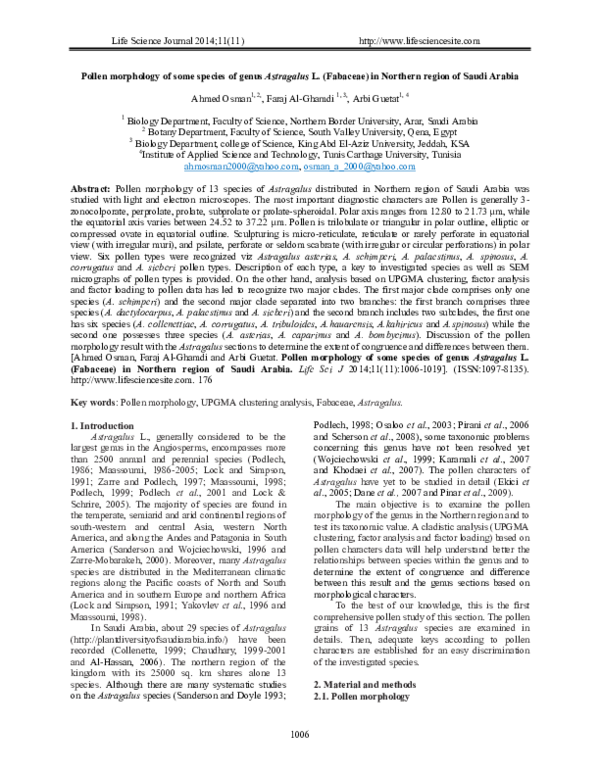 (PDF) Pollen morphology of some species of genus Astragalus L ...