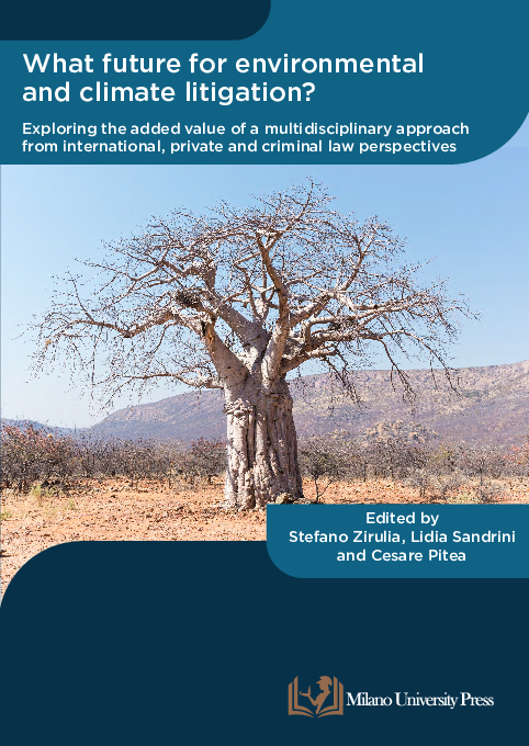 (PDF) What future for environmental and climate litigation?