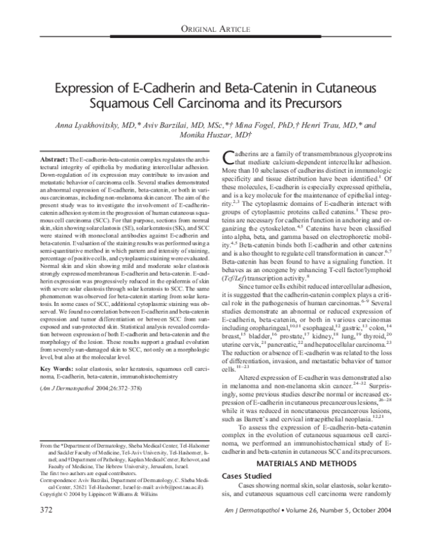 (PDF) Expression of E-Cadherin and Beta-Catenin in Cutaneous Squamous ...