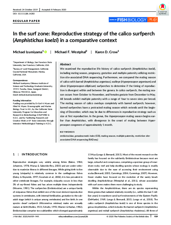 In the surf zone: Reproductive strategy of the calico surfperch ( <scp> <i>Amphistichus koelzi</i> </scp> ) in a comparative context