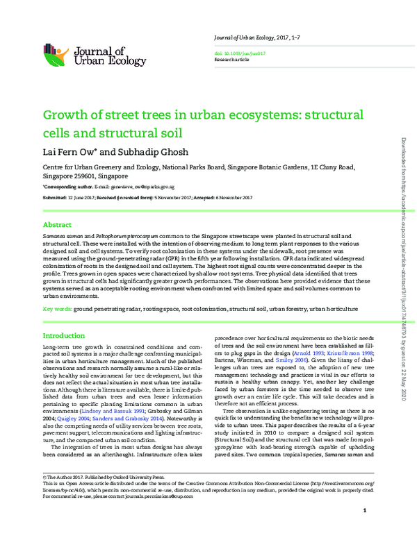 (PDF) Growth of street trees in urban ecosystems: structural cells and ...