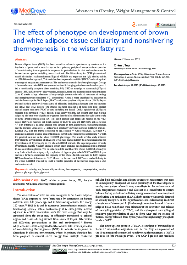 (PDF) The effect of phenotype on development of brown and white adipose ...