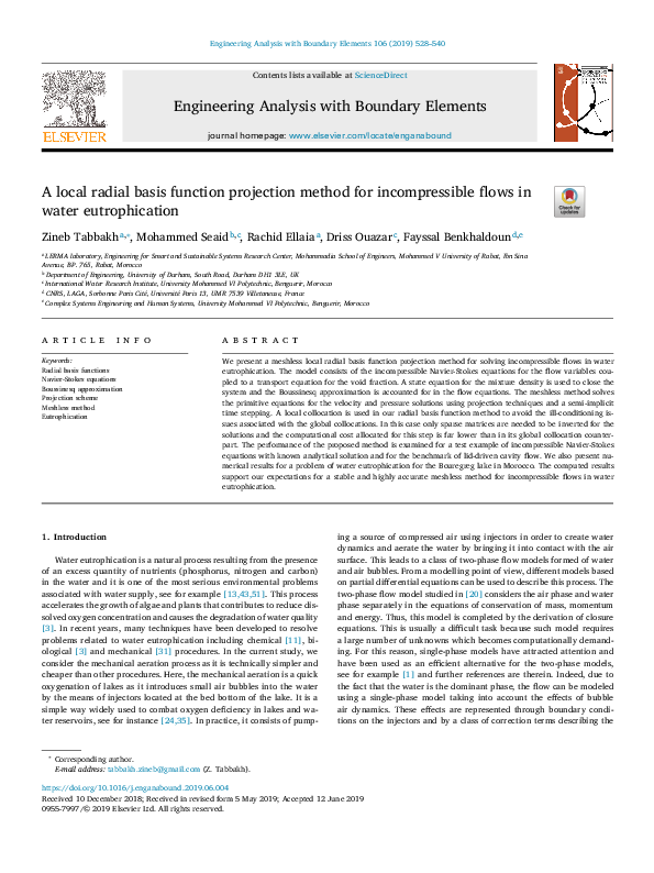 (PDF) A local radial basis function projection method for ...