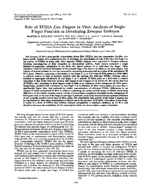 (PDF) Role of TFIIIA zinc fingers in vivo: analysis of single-finger ...