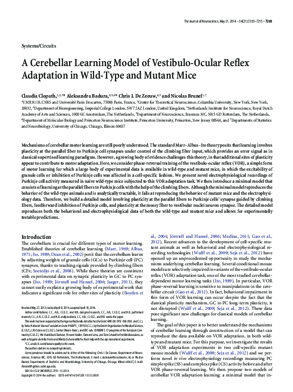 (PDF) A Cerebellar Learning Model of Vestibulo-Ocular Reflex Adaptation ...