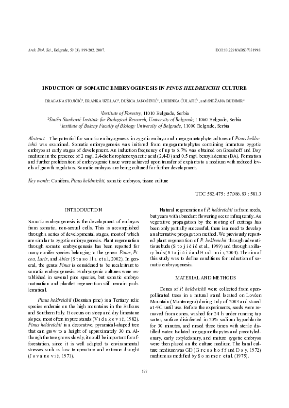 (PDF) Induction of somatic embryogenesis in Pinus heldreichii culture ...