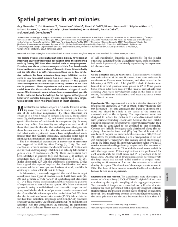 (PDF) Spatial patterns in ant colonies
