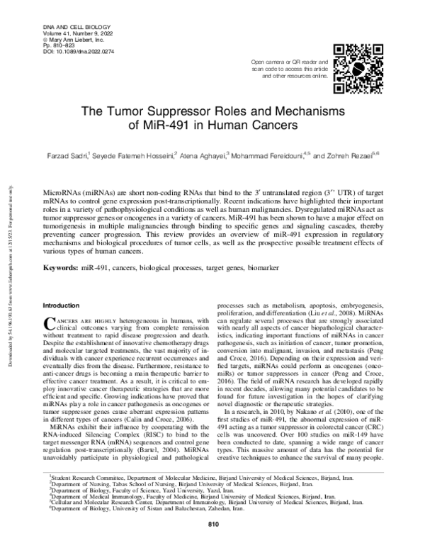 (PDF) The Tumor Suppressor Roles and Mechanisms of MiR-491 in Human Cancers