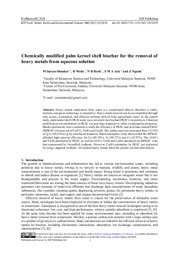 (PDF) Chemically modified palm kernel shell biochar for the removal of ...