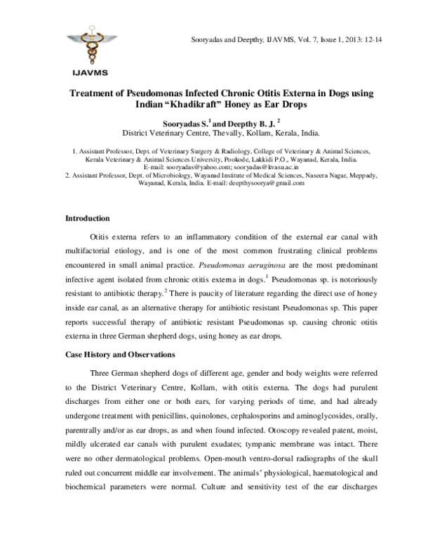 Photo inspiration: Medication From Humans For Otitis Externa In Dogs Reference: Pdf Treatment Of Pseudomonas Infected Chronic Otitis Externa In Dogs