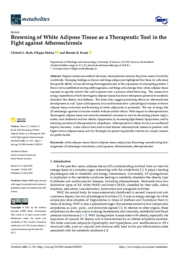 (PDF) Browning of White Adipose Tissue as a Therapeutic Tool in the ...