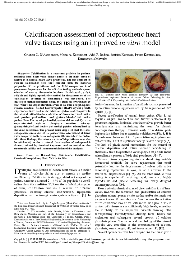 (PDF) Calcification Assessment of Bioprosthetic Heart Valve Tissues ...