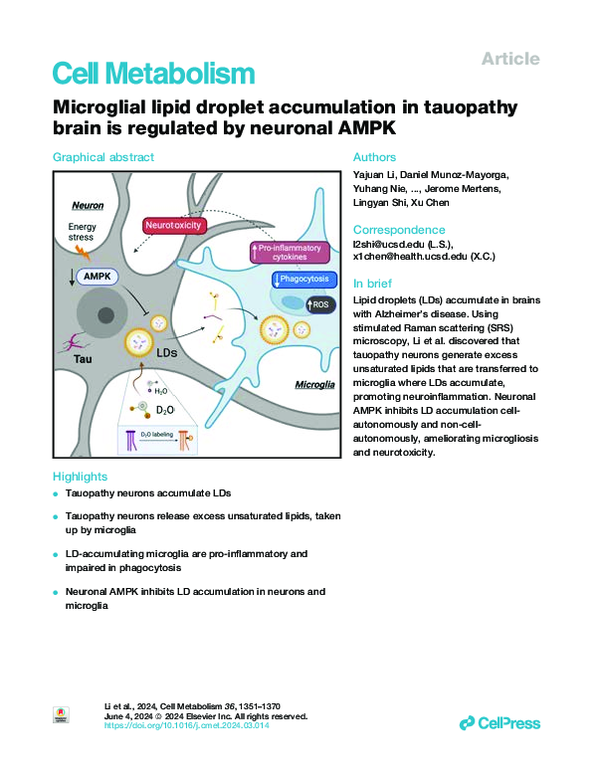 (PDF) Microglial lipid droplet accumulation in tauopathy brain is ...
