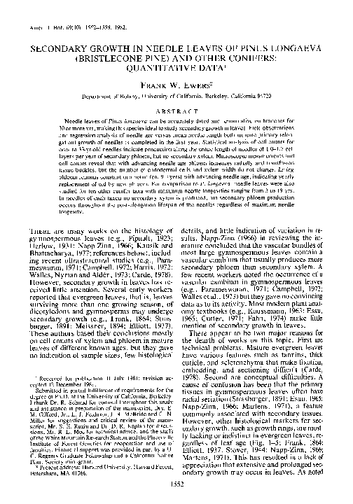 (PDF) Secondary Growth in Needle Leaves of Pinus Longaeva (Bristlecone ...