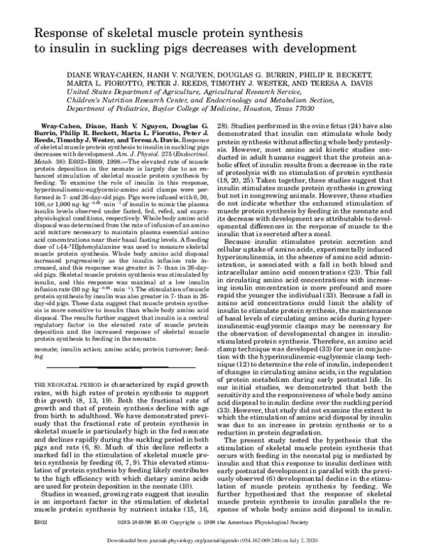 (PDF) Response of skeletal muscle protein synthesis to insulin in ...