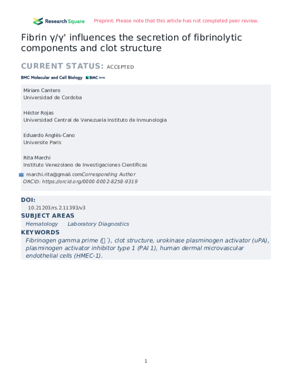 (PDF) Fibrin γ/γ' influences the secretion of fibrinolytic components ...